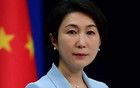被中國(guó)敦促和警告后，以軍發(fā)“斬首熊貓”照片