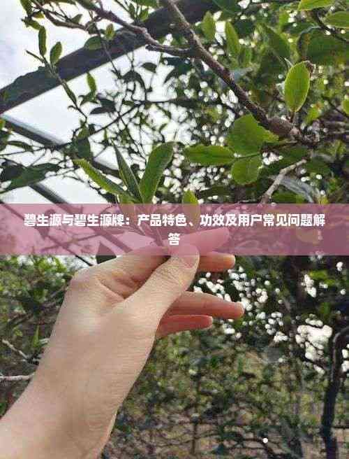 碧生源與碧生源牌：產(chǎn)品特色、功效及用戶(hù)常見(jiàn)問(wèn)題解答