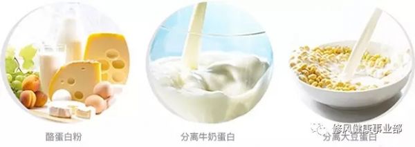 優(yōu)質蛋白