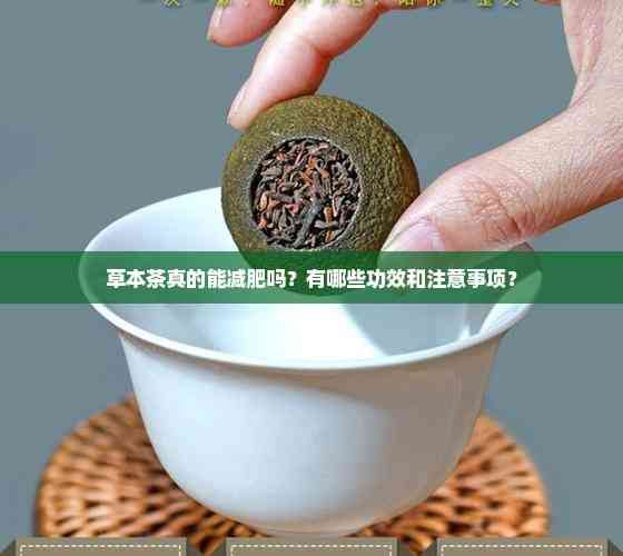 草本茶真的能減肥嗎？有哪些功效和注意事項(xiàng)？