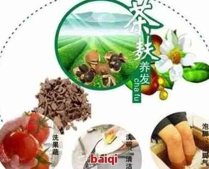 草本清潤茶：成分詳解與功效全面解析