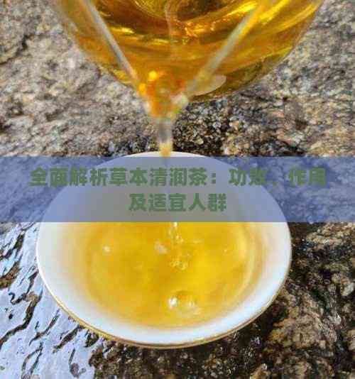 全面解析草本清潤(rùn)茶：功效、作用及適宜人群