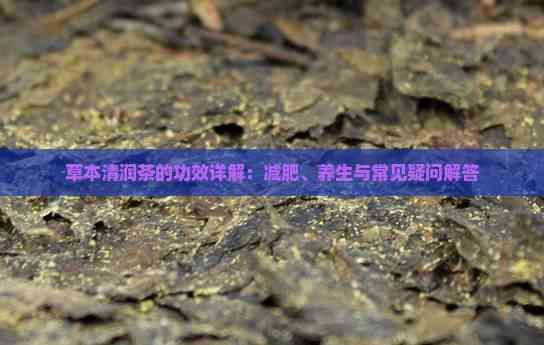 草本清潤茶的功效詳解：減肥、養(yǎng)生與常見疑問解答