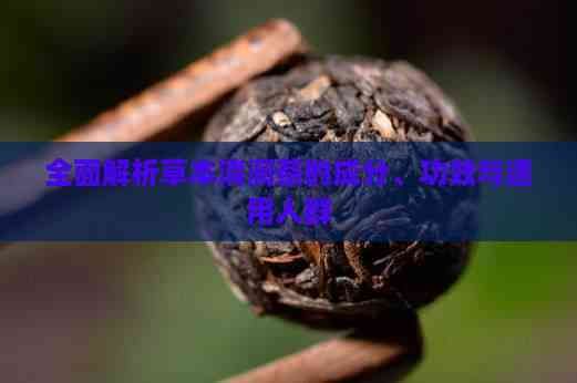 全面解析草本清潤茶的成分、功效與適用人群