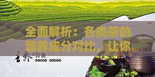 全面解析：各類茶的營養(yǎng)成分對(duì)比，讓你了解每種茶的健益處與功效