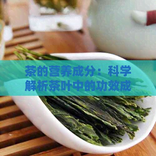 茶的營養(yǎng)成分：科學(xué)解析茶葉中的功效成分和健益處