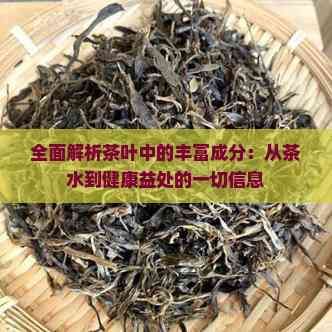 全面解析茶葉中的豐富成分：從茶水到健康益處的一切信息