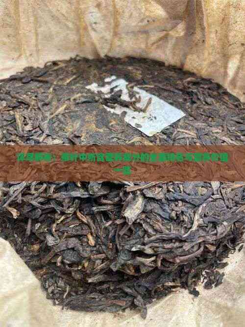 詳盡解析：茶葉中所含營養(yǎng)成分的全面排名與營養(yǎng)價值一覽