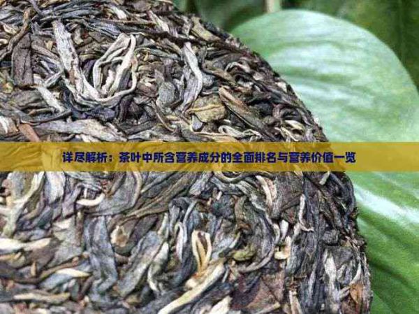 詳盡解析：茶葉中所含營養(yǎng)成分的全面排名與營養(yǎng)價值一覽
