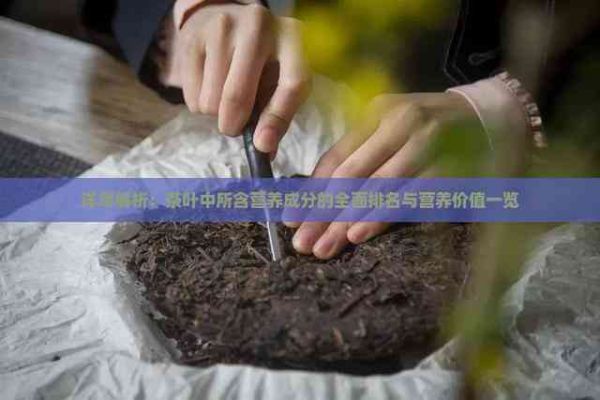 詳盡解析：茶葉中所含營養(yǎng)成分的全面排名與營養(yǎng)價值一覽
