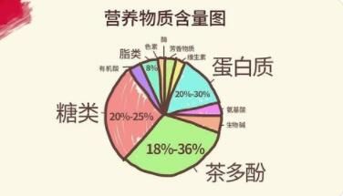 茶葉中含有哪些營(yíng)養(yǎng)成分?