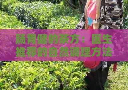 腸胃健的茶方：醫(yī)生推薦的自然調(diào)理方法