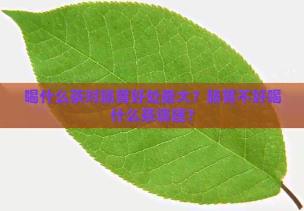 喝什么茶對(duì)腸胃好處更大？腸胃不好喝什么茶調(diào)理？