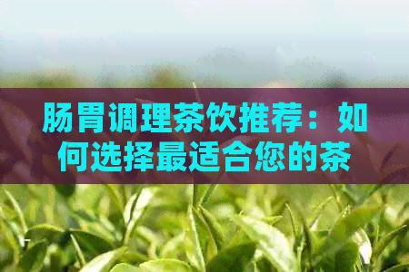 腸胃調(diào)理茶飲推薦：如何選擇最適合您的茶來改善消化功能？