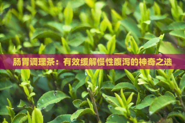 腸胃調(diào)理茶：有效緩解慢性腹瀉的神奇之選