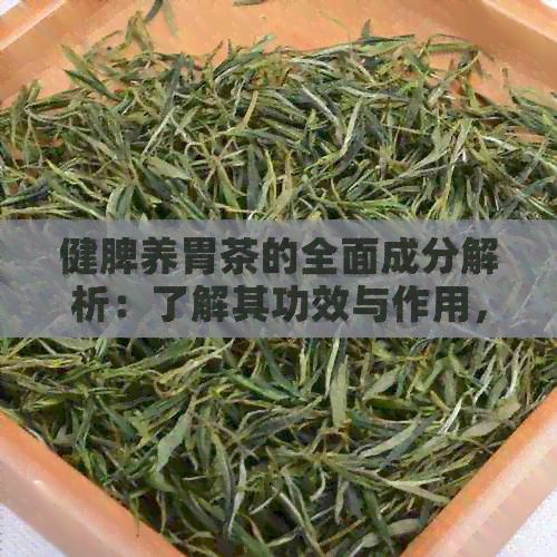 健脾養(yǎng)胃茶的全面成分解析：了解其功效與作用，以及適用人群
