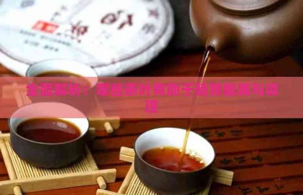 全面解析：哪些茶葉有助于腸胃健康與調理