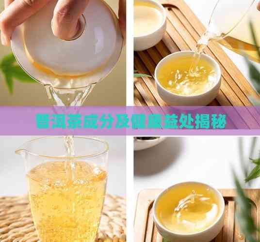 普洱茶成分及健康益處揭秘