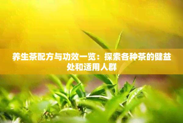 养生茶配方与功效一览：探索各种茶的健益处和适用人群