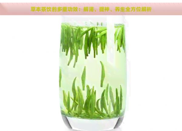 草本茶飲的多重功效：解渴、提神、養(yǎng)生全方位解析