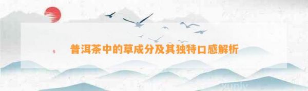 普洱茶中的草成分及其獨(dú)特口感解析