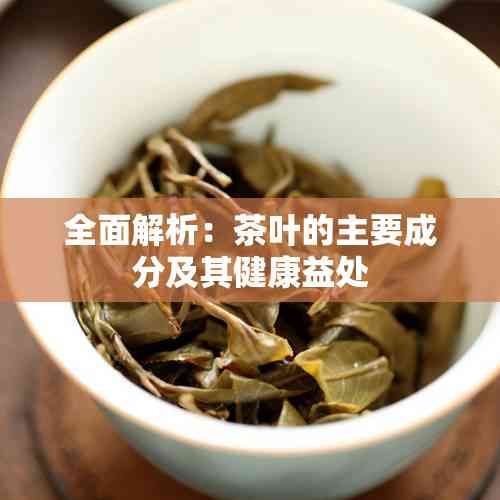 全面解析：茶葉的主要成分及其健康益處