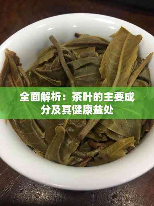 全面解析：茶葉的主要成分及其健康益處