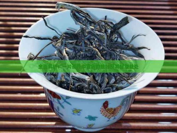 全面解析：一片茶葉中富含的成分及其健康益處