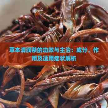 草本清潤茶的功效與主治：成分、作用及適用癥狀解析