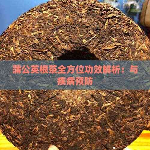 蒲公英根茶全方位功效解析：與疾病預防