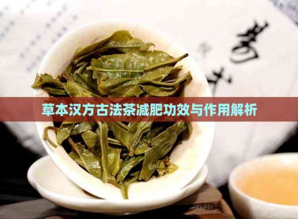 草本汉方古法茶减肥功效与作用解析