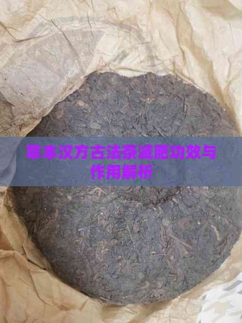草本汉方古法茶减肥功效与作用解析