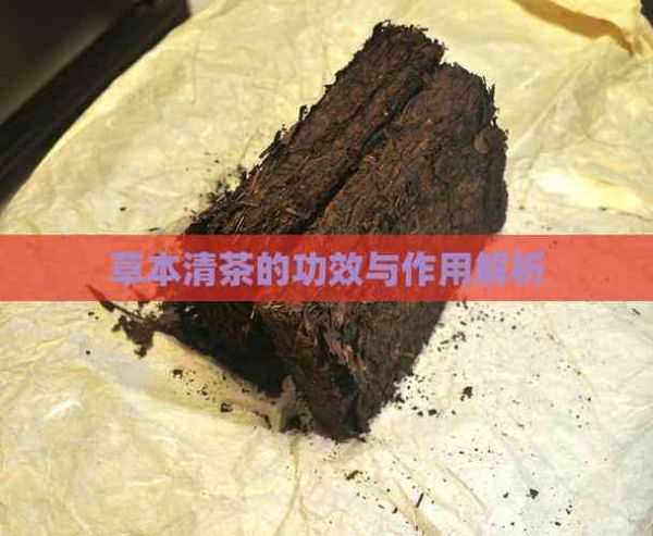 草本清茶的功效與作用解析