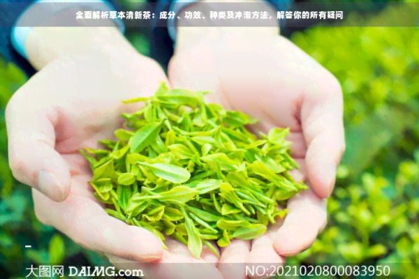全面解析草本清新茶：成分、功效、種類及沖泡方法，解答你的所有疑問