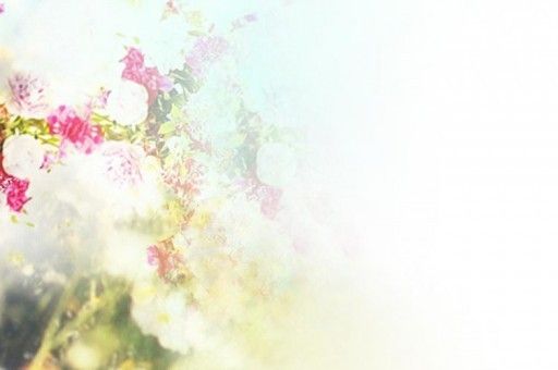 碧生源常潤茶的成分（碧生源常潤茶成分適合孕婦嗎）