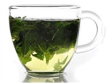 桑葉茶怎么泡效果最好（桑葉茶的功效與作用）