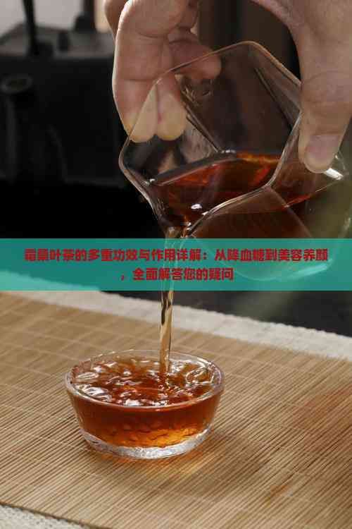 霜桑葉茶的多重功效與作用詳解：從降血糖到美容養(yǎng)顏，全面解答您的疑問