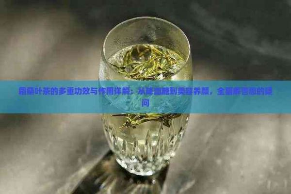 霜桑葉茶的多重功效與作用詳解：從降血糖到美容養(yǎng)顏，全面解答您的疑問