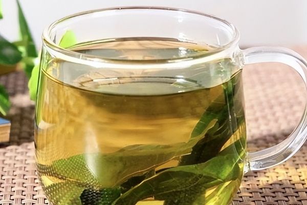 喝桑叶茶能减肥吗，正确饮用桑叶茶有助于减肥