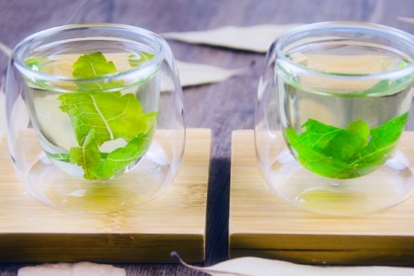 喝桑叶茶能减肥吗，正确饮用桑叶茶有助于减肥