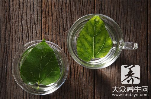 霜桑葉和桑葉的區(qū)別是什么