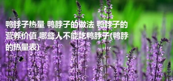鴨脖子熱量 鴨脖子的做法 鴨脖子的營養(yǎng)價值 哪些人不能吃鴨脖子(鴨脖的熱量表)