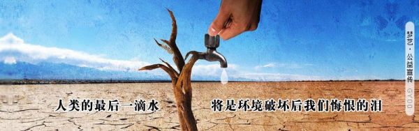 鴨脖的營養(yǎng)價(jià)值與做法