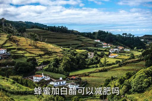  蜂蜜加白醋可以减肥吗