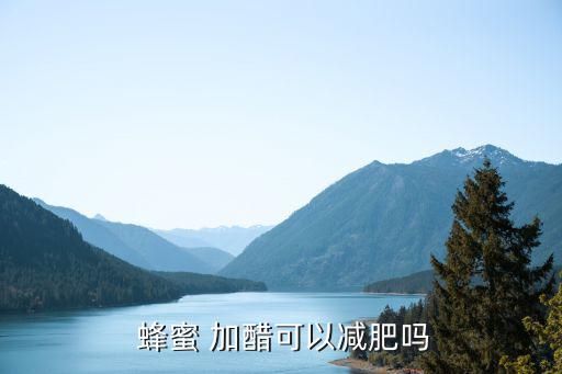  蜂蜜 加醋可以减肥吗