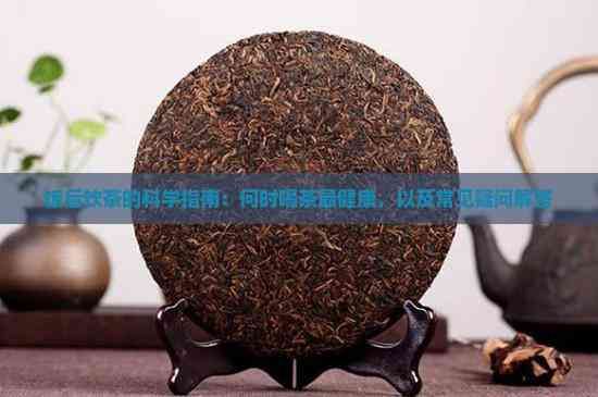 饭后饮茶的科学指南：何时喝茶最健康，以及常见疑问解答