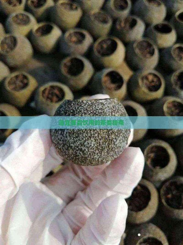 適宜餐后飲用的茶類(lèi)指南