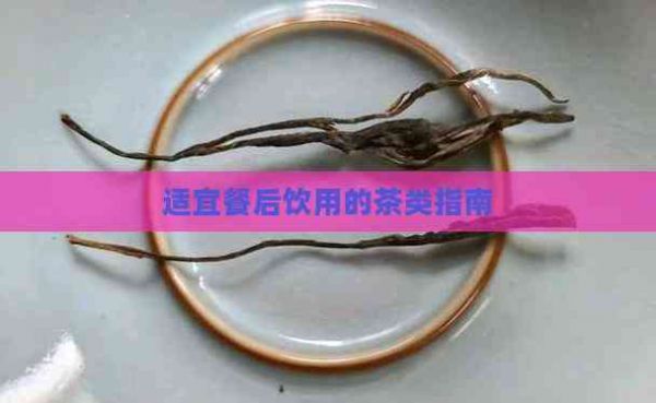 適宜餐后飲用的茶類(lèi)指南