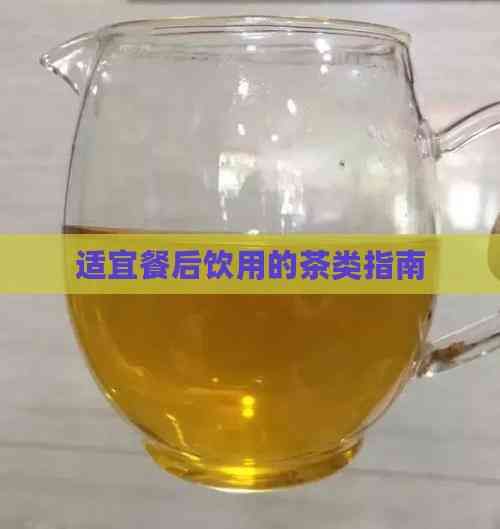 適宜餐后飲用的茶類(lèi)指南