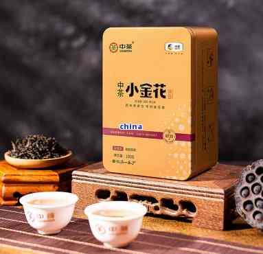 中茶小金花餐后茶：全方位呵護(hù)身體健